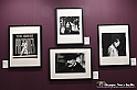 VBS_1682 - Mostra Peter Hince - Queen Experience